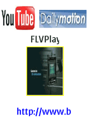 [FLVPlayer.gif]