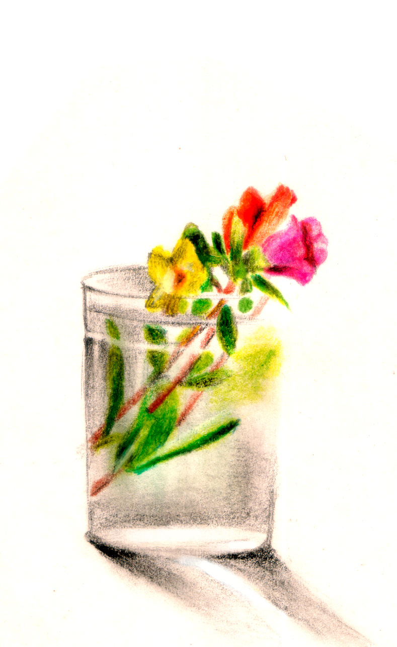 [flower+pot.jpg]