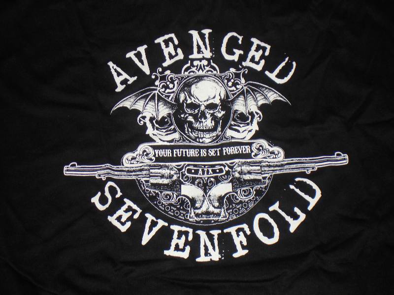 [Avenged_Sevenfold_Guns_Small.jpg]