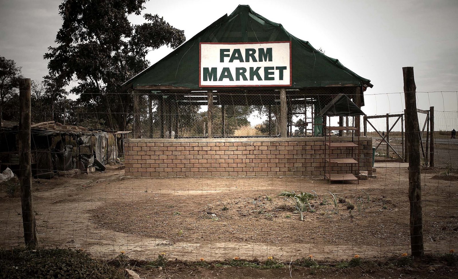 [farm+market.jpg]