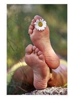 [Feet-with-Daisy-Between-Toes-Person-Lying-Back-Enjoying-the-Sun-Photographic-Print-C12508801.jpg]