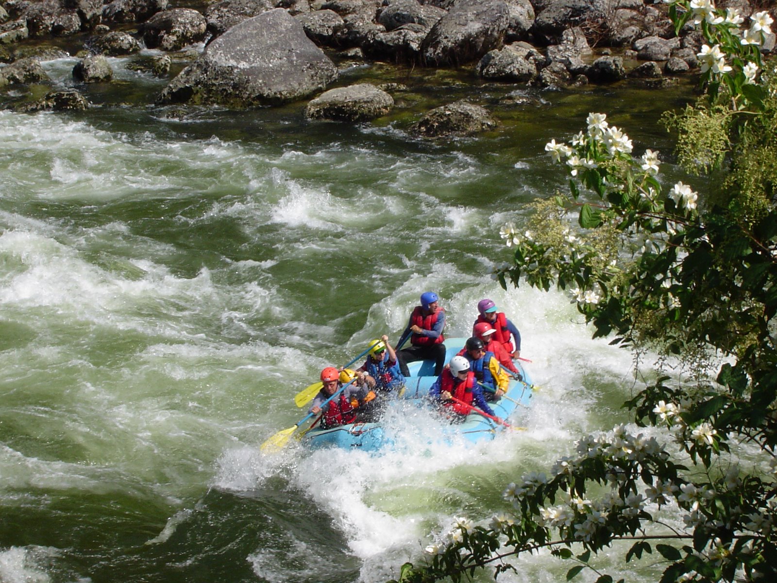 [July+08,+River+Trip,+Lochsa,+Payette+Rivers+023.jpg]