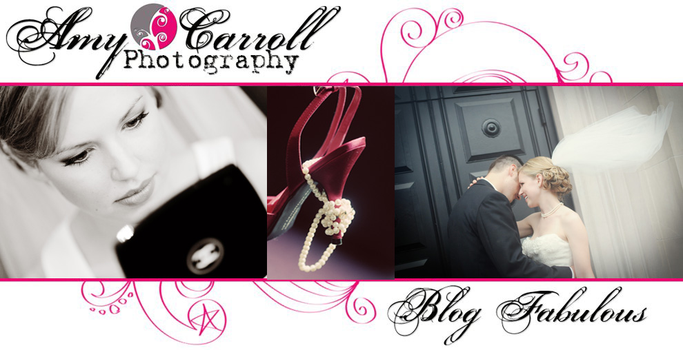Amy Carroll Photography, LLC