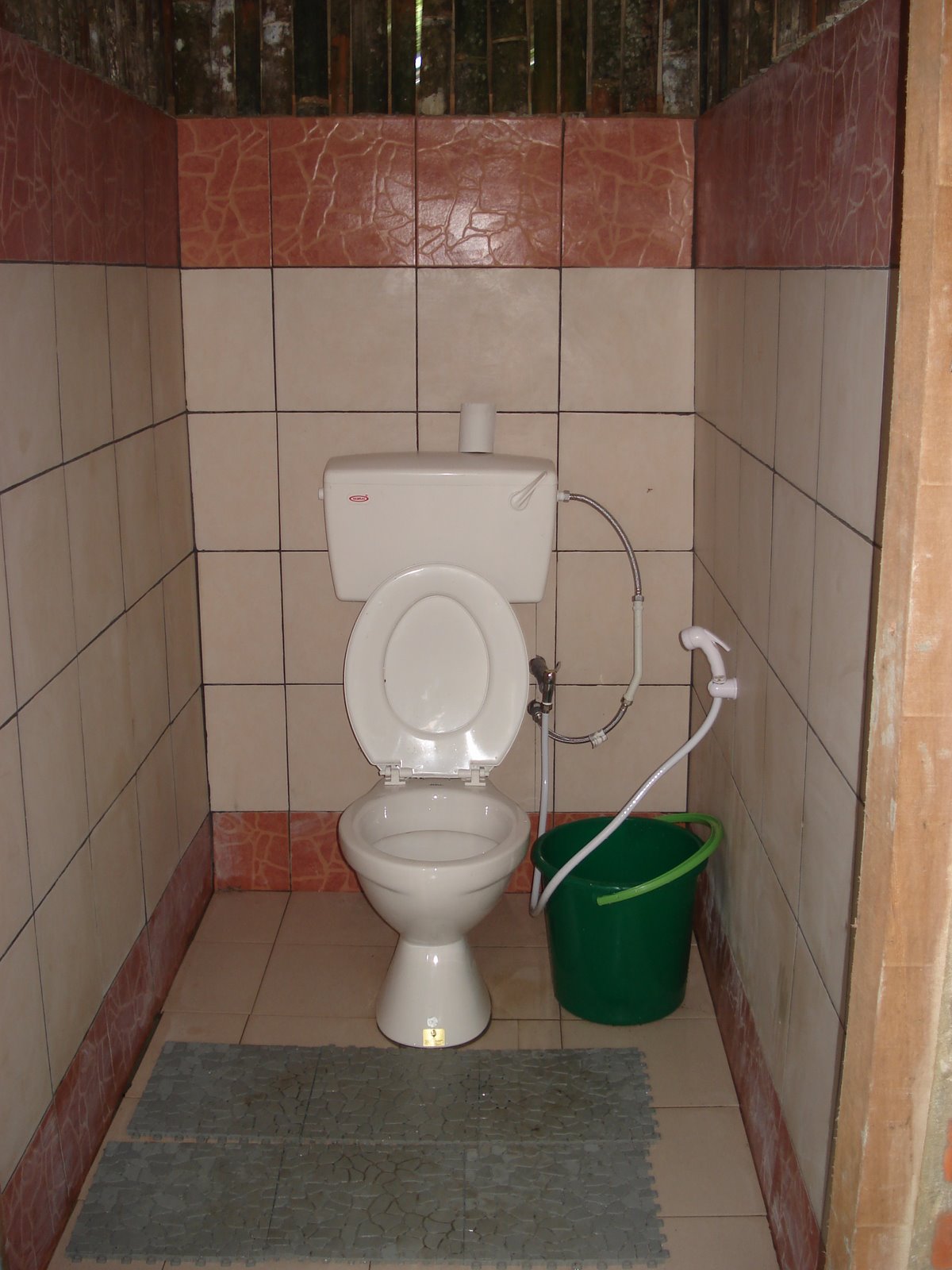 [10+toilet.JPG]