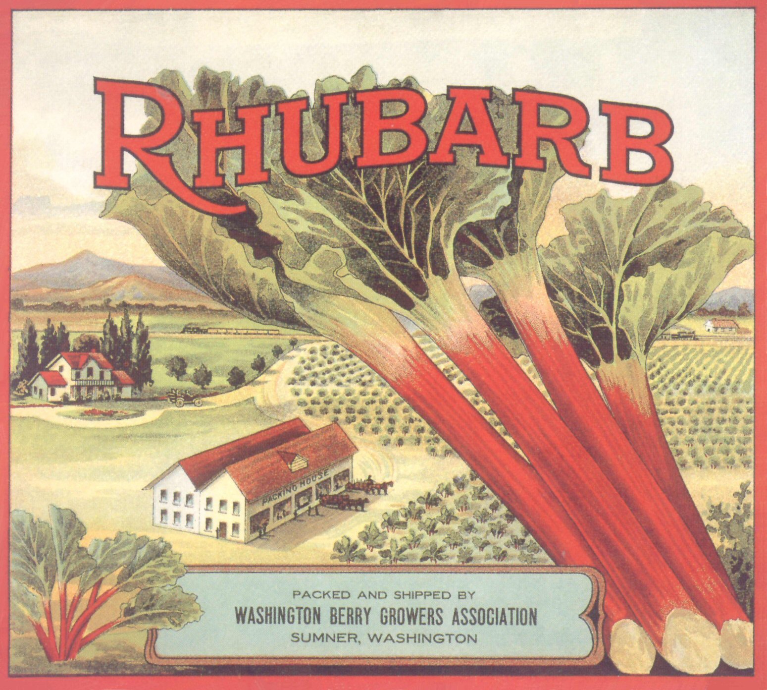 [X_Rhubarb_Label.jpg]