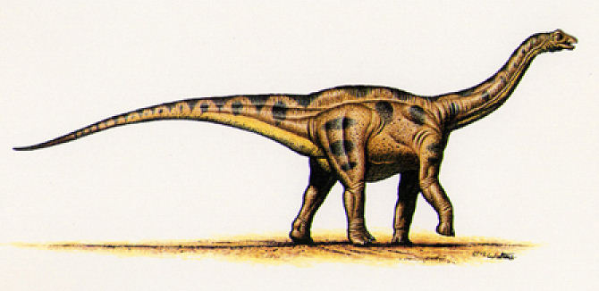 [rw_apatosaurus.jpg]