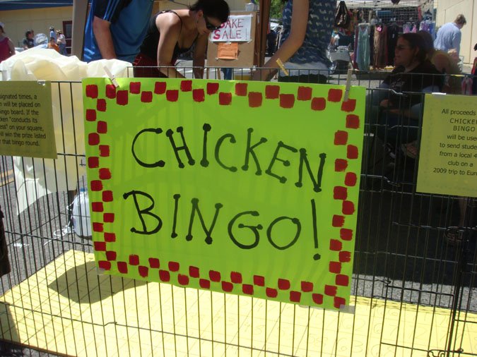 [chick+bingo1.jpg]