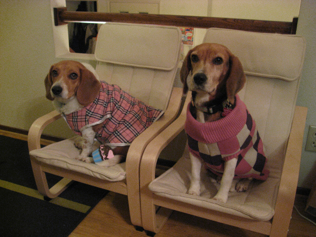 [2008-01-21+Sally+-+Bonnie+on+Poang+Chair+(6).jpg]