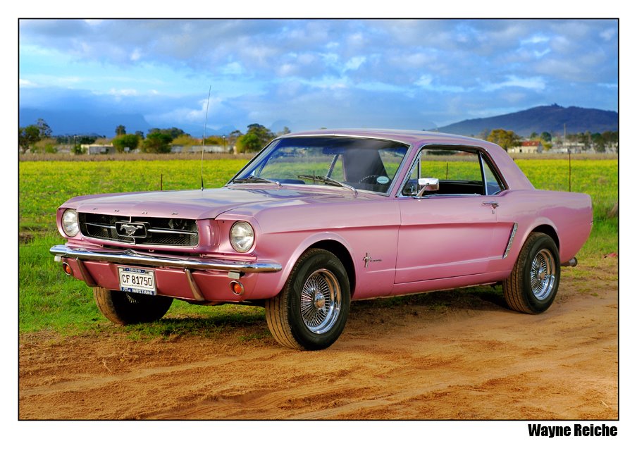 [Pink+Mustang.jpg]