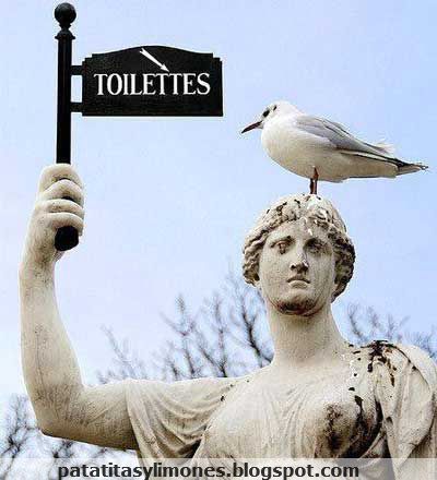 [patatitasbird-toilettes.jpg]