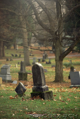 [cemetery.jpg]