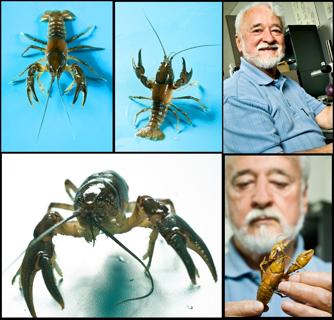 [blog+crayfish.jpg]