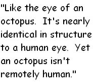 [Larry+Niven's+Eye+of+an+Octopus.GIF]