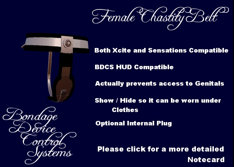 [BDCS+Female+Chastity+Belt.jpg]