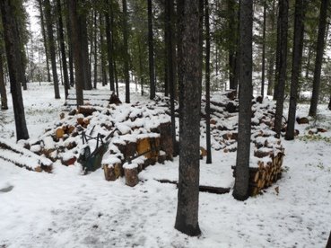 [firewood+snow+rs.jpg]