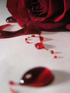 [267070__bleeding_roses__8.jpg]