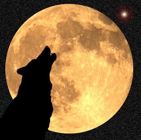 [wolf+moon.bmp]