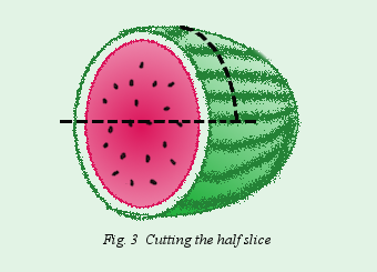 [melon3.png]