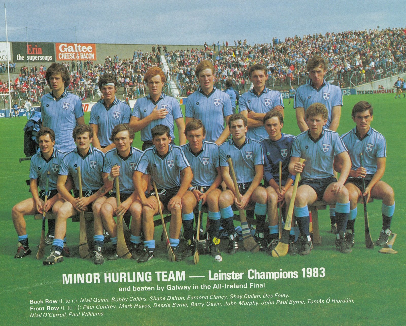 [Dublin+Leinster+MHC+Champions+1983.jpg]