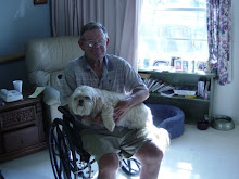 Pets that live full-time in the nursing home bring love and companionship to elders.