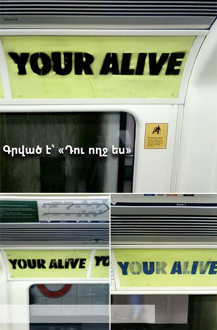 [you+are+alive.jpg]