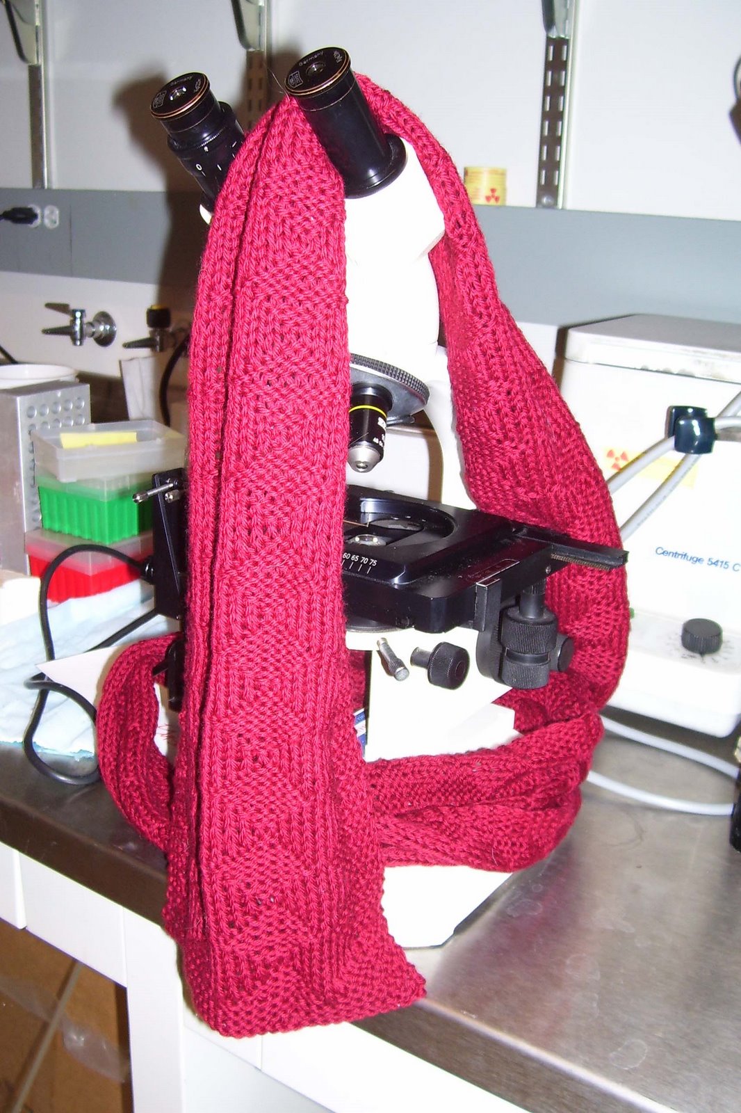 [microscope+red+scarf.jpg]