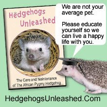 New DVD For Hedgehog Owners