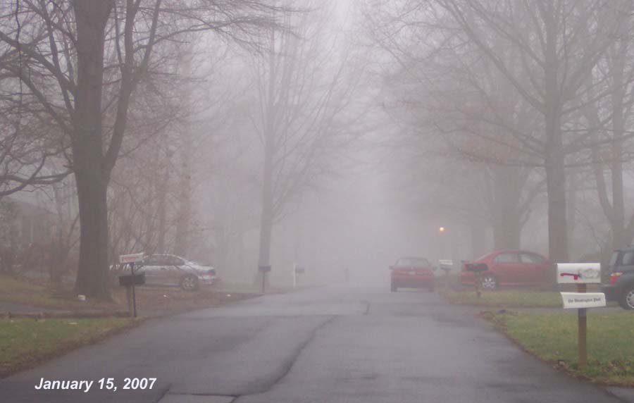 [070115+Foggy+January+morn+crop.jpg]