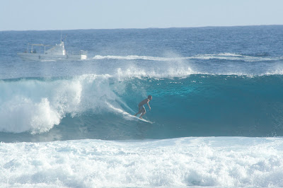 quelques photos des dernieres session Surf+d%27hiver,+surf+divers+-+6