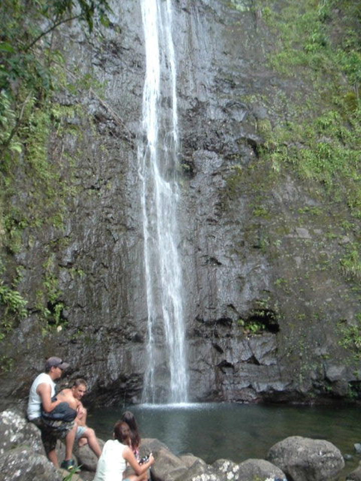 [Manoa+Waterfalls.JPG]