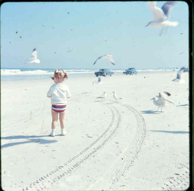 [03-1969+florida+regina+with+seagulls.jpg]