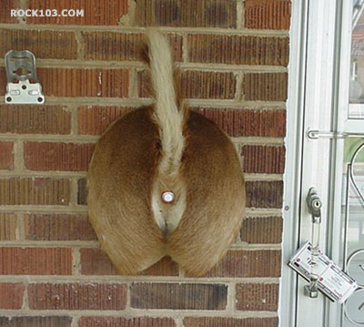 [redneck-doorbell.jpg]