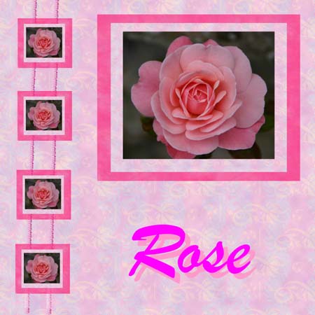 [rose+resized.jpg]