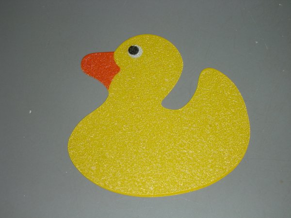 [duck+detail.JPG]