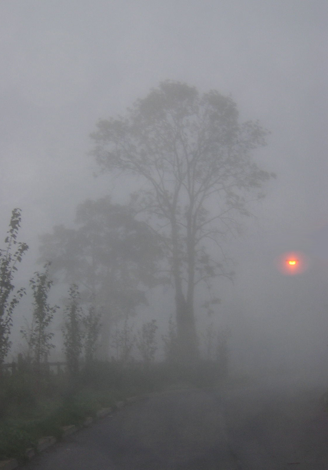 [fog2.jpg]