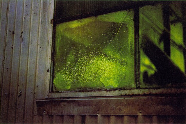 [eggleston_green_window.jpg]