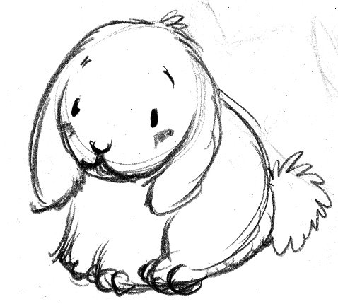 [bunny_03.jpg]