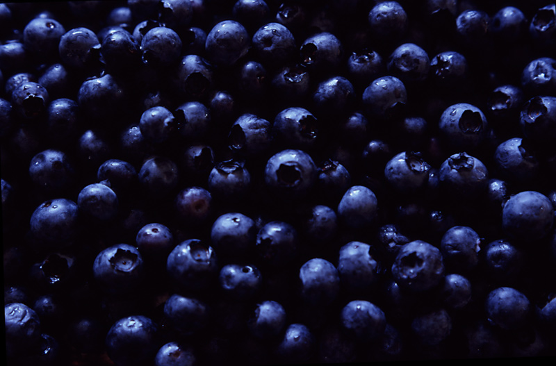 [blueberries.lrg.jpeg]