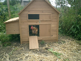 New Hen House