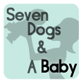 Seven Dogs and a Baby