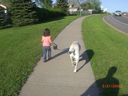 [walk+the+dog.jpg]