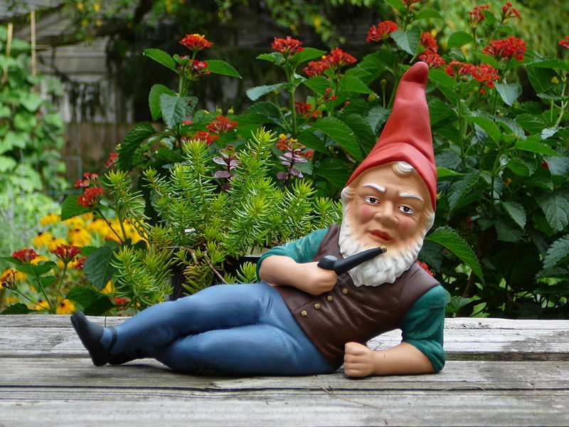 [800px-German_garden_gnome.jpg]