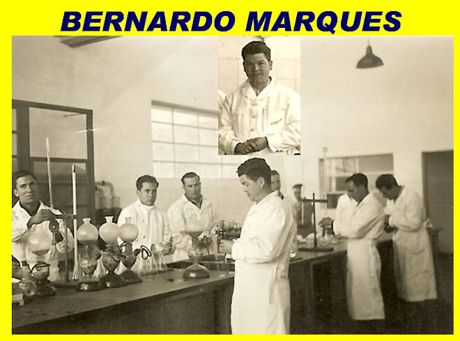 BERNARDO MARQUES