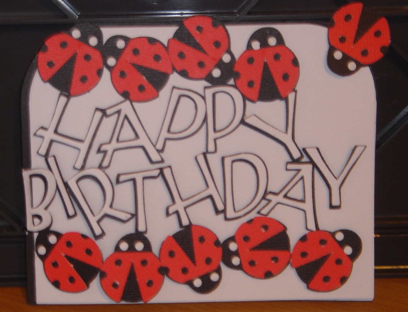 [Ladybug+Birthday.JPG]