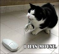 [I_Has_Mouse.jpg]