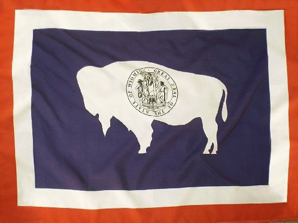[WyomingFlag5.jpg]