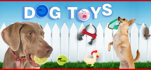 [dog+toys.jpg]