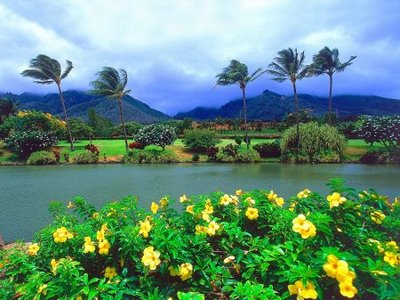 [1213637429_maui-tropical-plantation-hawaii.jpg]