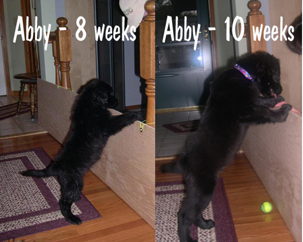 [Abby+growing.jpg]