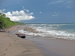 Erica Ridley in Costa Rica: Beach Playa Langosta y Playa Tamarindo